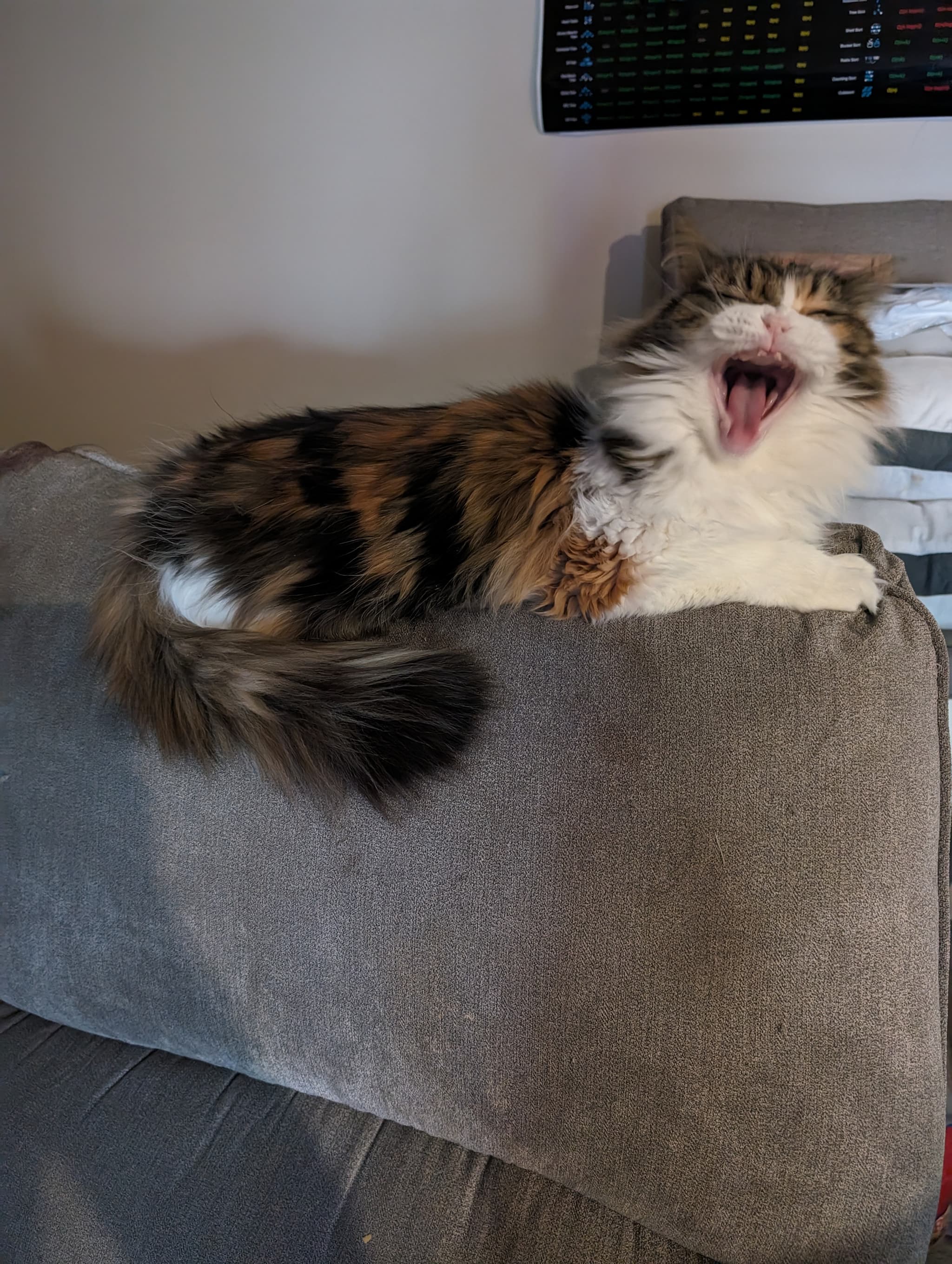 Yawning